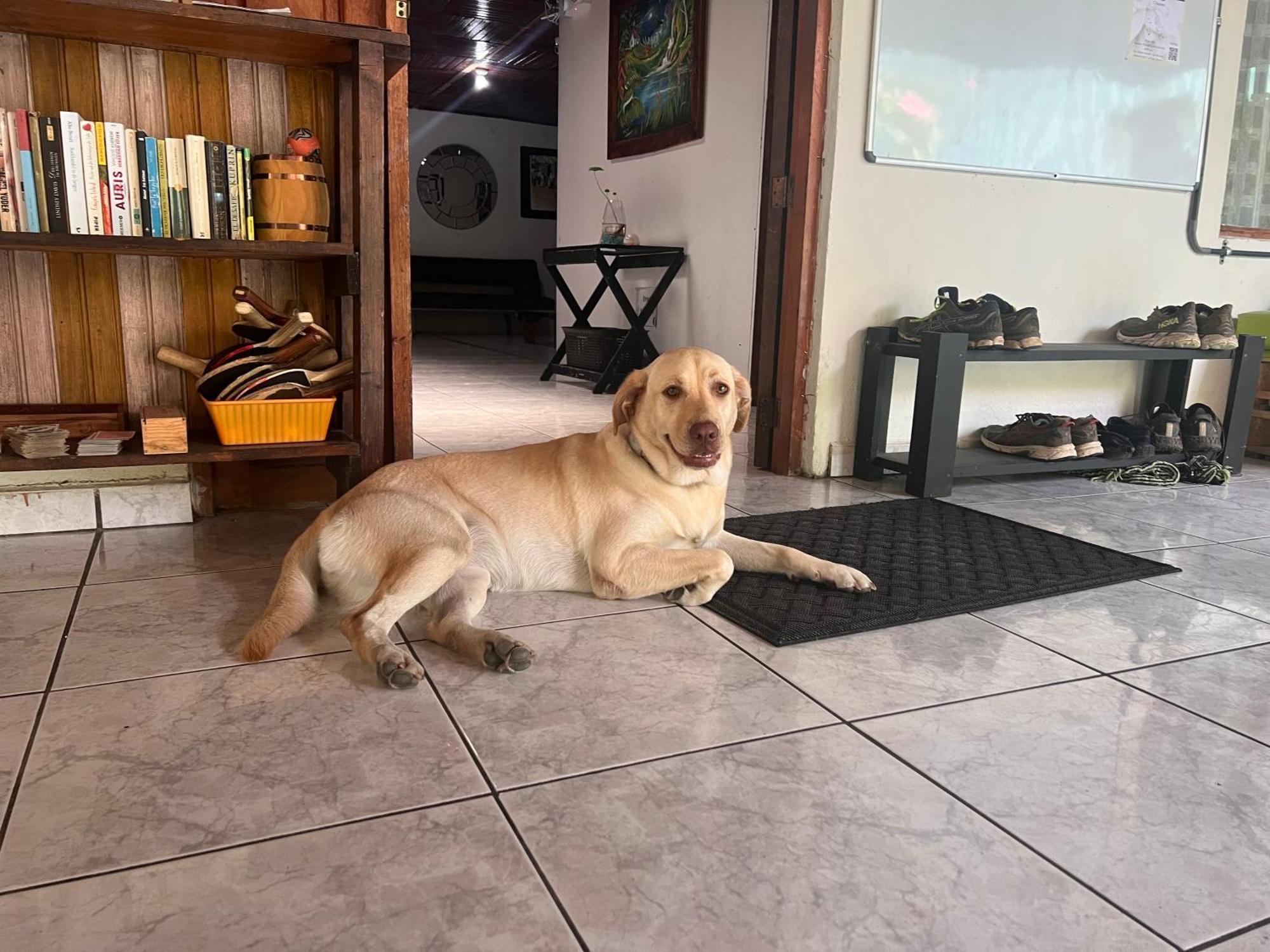 Rio Danta Hostel La Fortuna Eksteriør billede