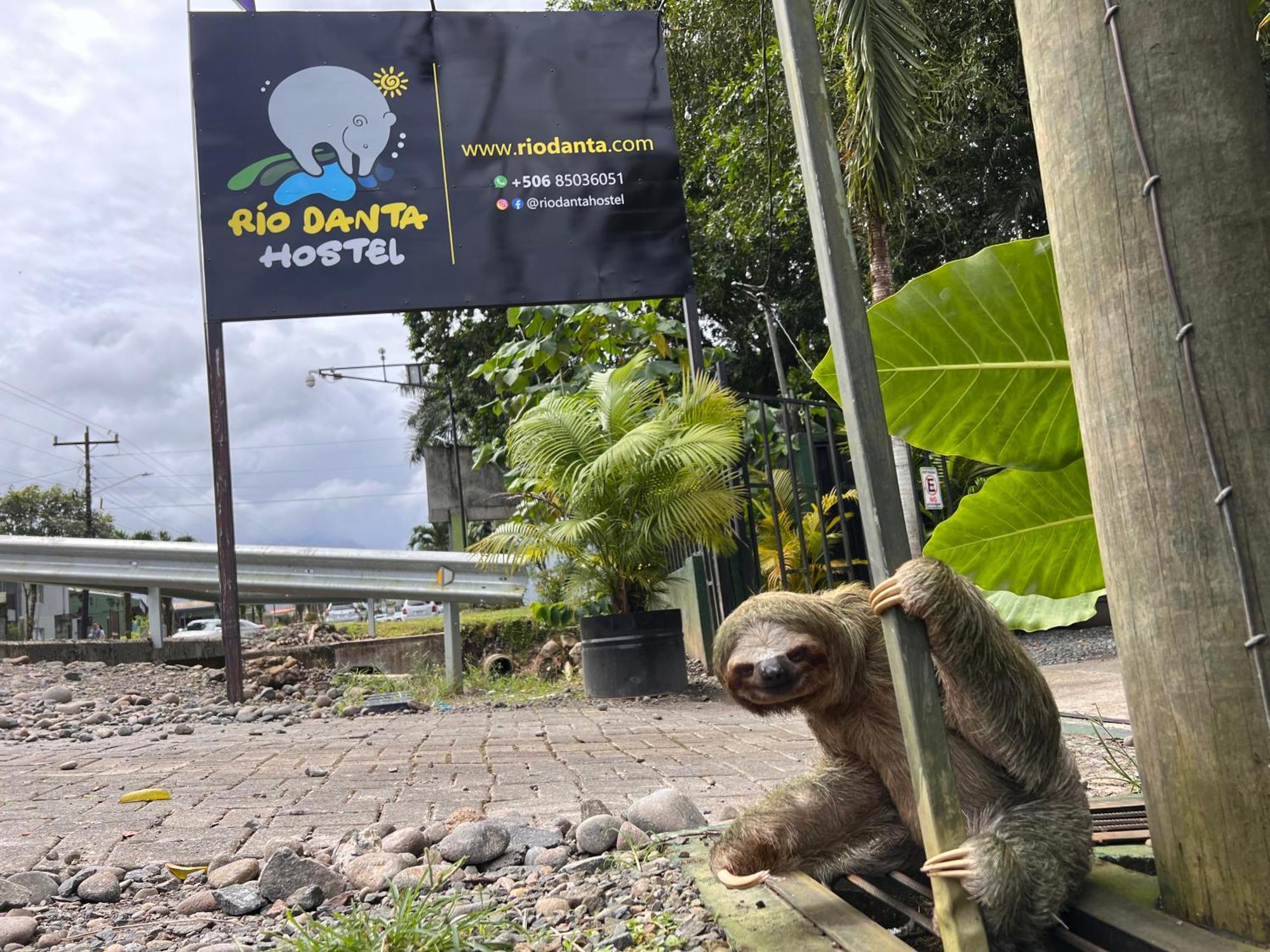 Rio Danta Hostel La Fortuna Eksteriør billede